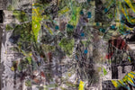 Vernal Persistence
